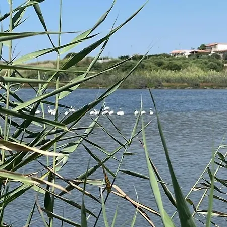Eco Del Mare *