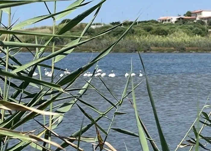 Eco Del Mare *